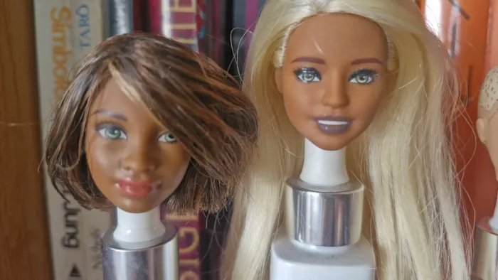 Lote Barbie cabeças Fashionistas