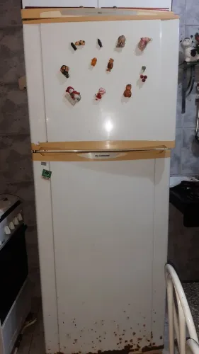 Frozfree precisa de compressor. 