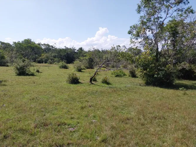 Área no município de Santa Helena-Ma