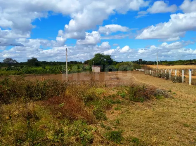 Área Rural com 19 Hectares, beira Rio, às margens da rodovia, Petrolina-PE