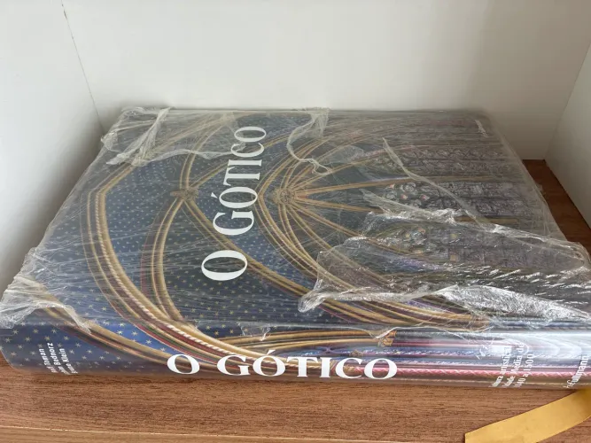 Livro o gótico hf ullmann