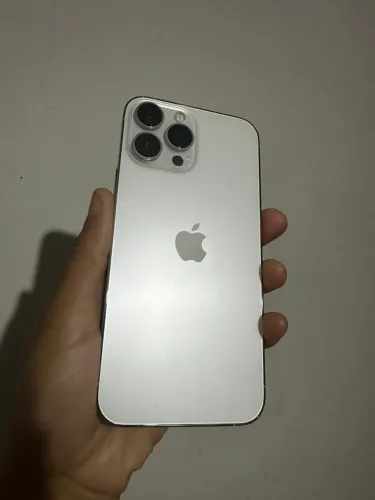 13 pro max