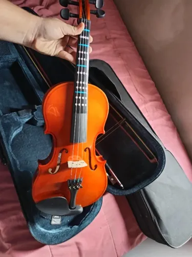 Violino