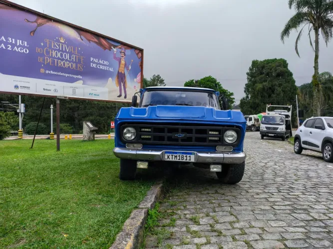 Caminhão d 10 