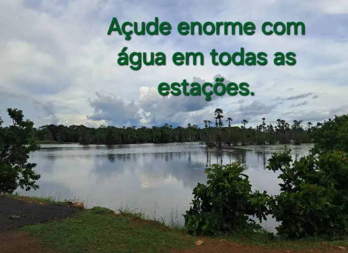 Fazenda com 526 Ha, água em abundância, estrutura completa e pronta para produzir.