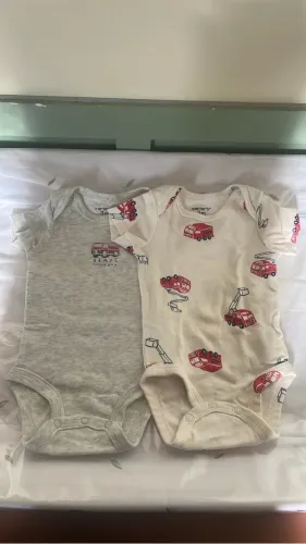 Body Carters