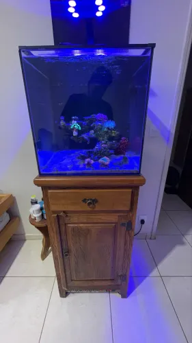 Vendo aquário 50x50x50 (desmonte)