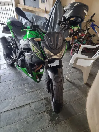 Z300