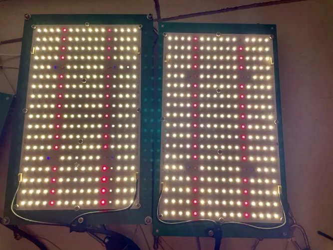 Quantum Board LM301H 240w