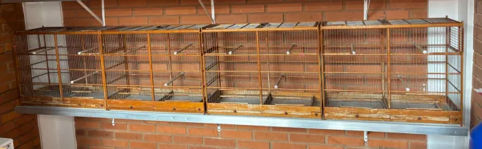 Gaiolas de madeira para pássaros