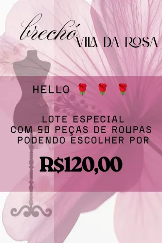 LOTE de Roupas exclusivos 