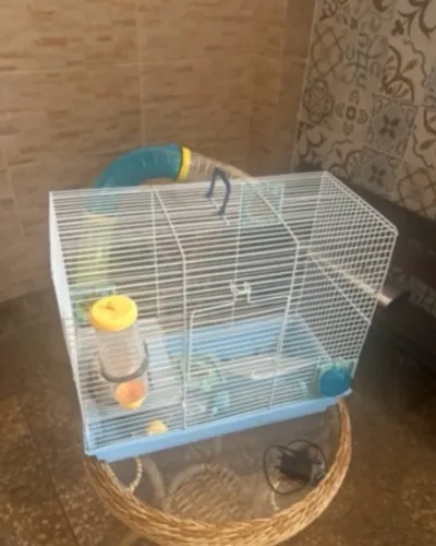 Gaiola para hamster