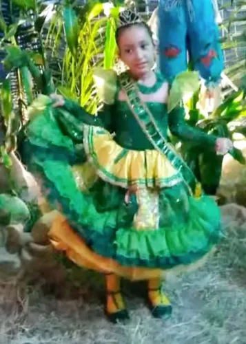 Alugo Vestido Rainha do Milho