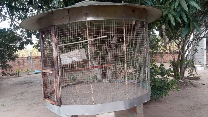Gaiola grande para aves