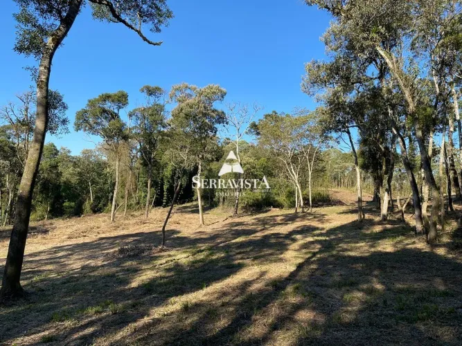 Terreno para chalés em Campo Alegre - 20.725 m2