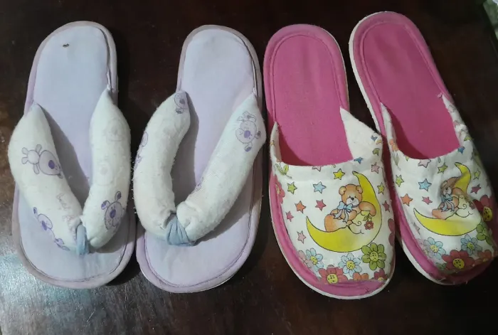 2 chinelo/pantufa