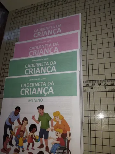 Caderneta de Vacinação (miolo)
