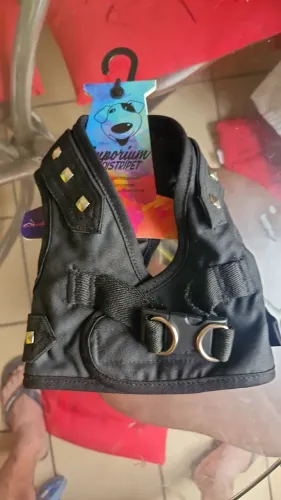 Artigo para caes e gatos