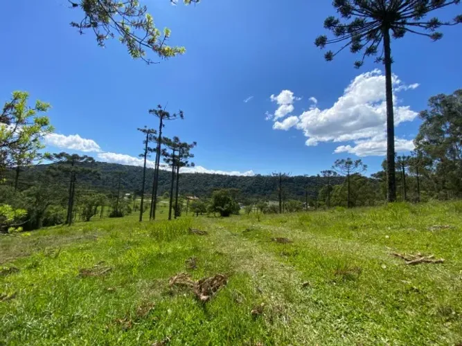 Área Exclusiva de 27 Hectares à Venda - Frente ao Asfalto, Urubici-SC, Invernador