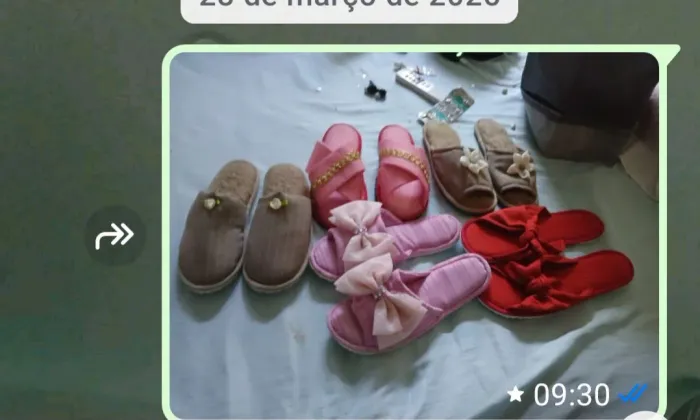 Chinelos femininos diversos