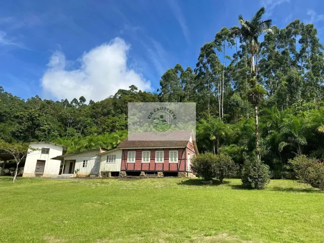 Sítio com 675.970 m², escriturado, com arrozeira, pastagem, bananal e casa, analisa negoci