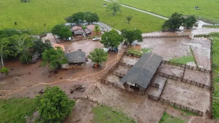 Fazenda a venda em São Felix do Xingu - Pará!!!