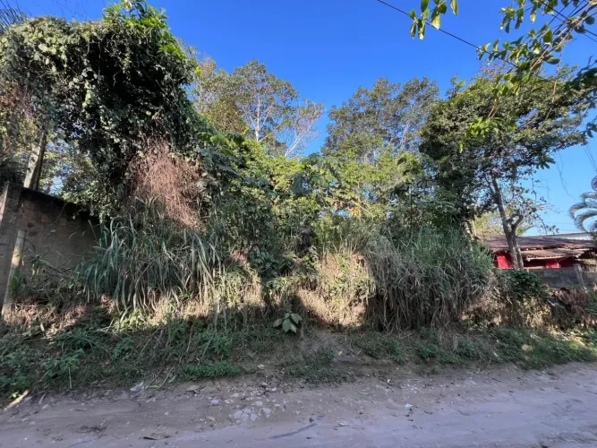Terreno à Venda em Trancoso