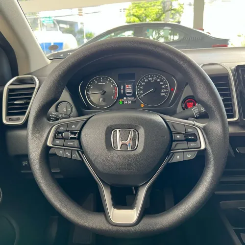 Capa de volante * 