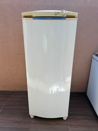 Freezer Vertical 