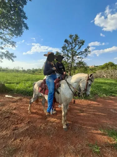 VENDO ESSES 2 CAVALO UMA ÉGUA E UM CAVALO PIQUIRA DE MACHA LIVRE DE DEFEITO MANÇINHO