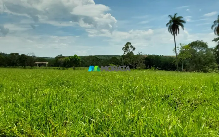 FAZENDA Á VENDA - 157 HECTARES - CAETANÓPOLIS (MG)