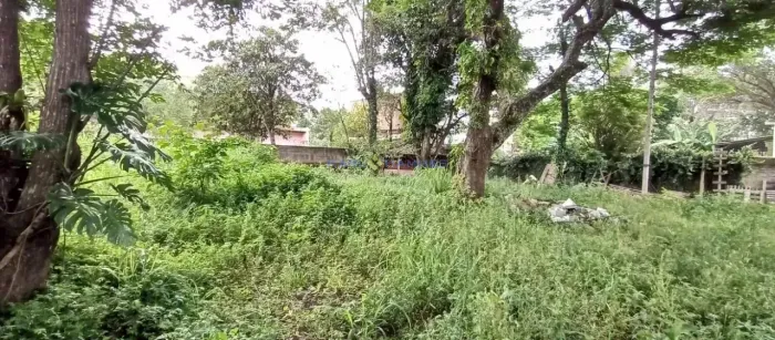 Terreno à Venda, Nogueira, Petrópolis, RJ