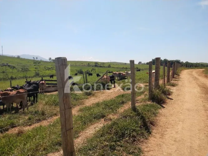 Fazenda pronta pra confinamento oportunidade