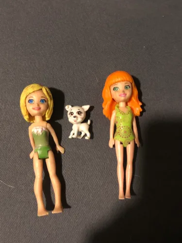 Pollys+ pet