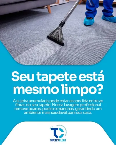 Lavagem profissional de tapete