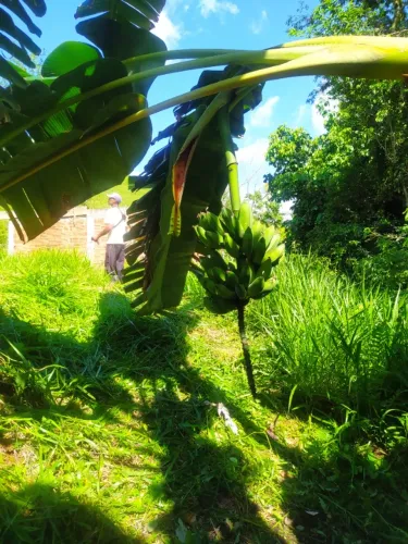 Vendo terreno no KM7 (Estrada Bananal) 1.000m2