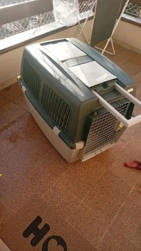Caixa de viagem para cães 
