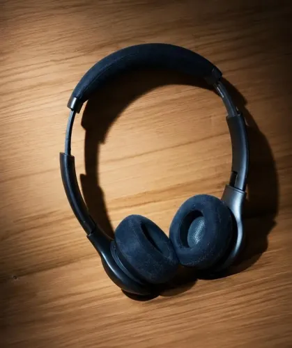 JBL Everest 300/310BT