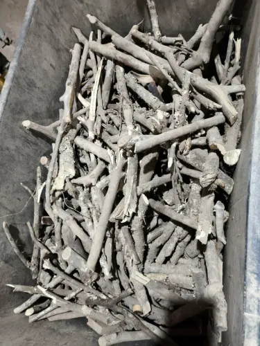 Vende se lenha de Larangeira,, bergamoteira e goiabeira