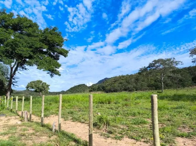 FAZENDA À VENDA 30,5 ALQUEIRES - NIQUELÂNDIA/GO