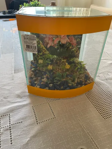 Aquário imperdível 