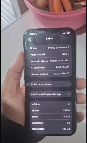 iphone 13 Pro max apple green