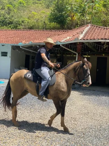 cavalo
