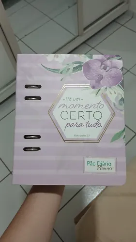 pao diário planner
