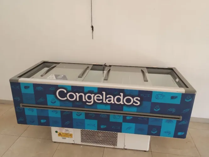 Freezer para congelados 
