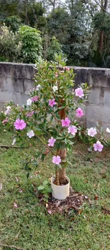 Vendo terreno em Ribeirão Pires 