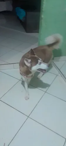 Doação