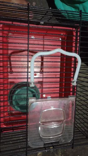 Vende gaiola de hamster 