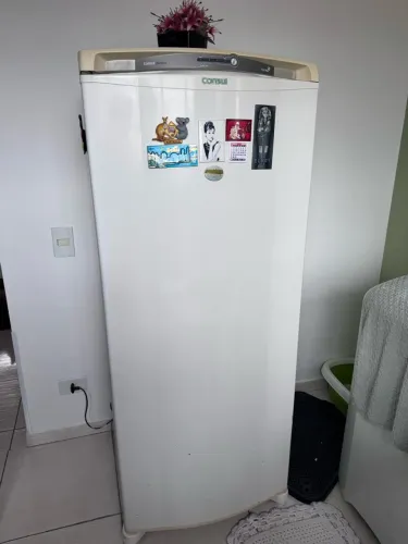 Geladeira Frost Free 297 LTS