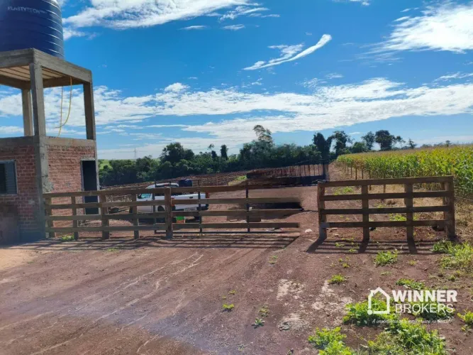 Chácara à venda, 2000 m² por R$ 169.000,00 - Jd São Domingos - Maringá/PR